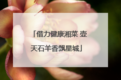 借力健康湘菜 壶天石羊香飘星城