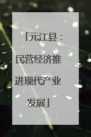 元江县：民营经济推进现代产业发展