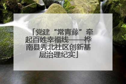 党建“常青藤”牵起百姓幸福线——桦南县秀北社区创新基层治理纪实