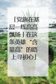 党旗在基层一线高高飘扬丨在这条英雄“含量高”的路上寻初心