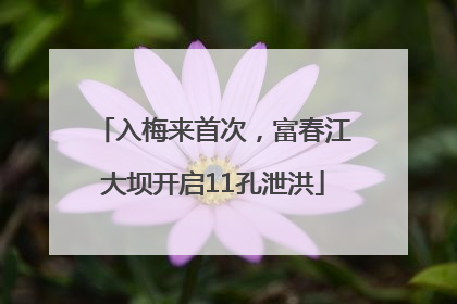 入梅来首次，富春江大坝开启11孔泄洪