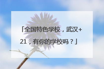 全国特色学校，武汉+21，有你的学校吗？