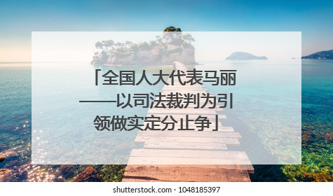 全国人大代表马丽——以司法裁判为引领做实定分止争