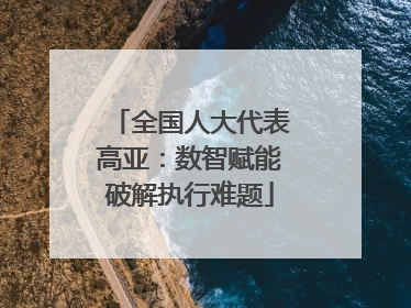 全国人大代表高亚：数智赋能破解执行难题