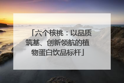 六个核桃：以品质筑基、创新领航的植物蛋白饮品标杆