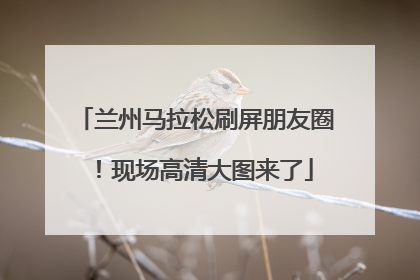 兰州马拉松刷屏朋友圈！现场高清大图来了