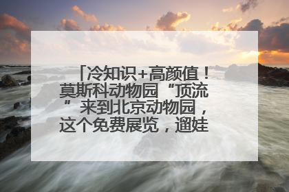 冷知识+高颜值！莫斯科动物园“顶流”来到北京动物园，这个免费展览，遛娃拍照两不误！
