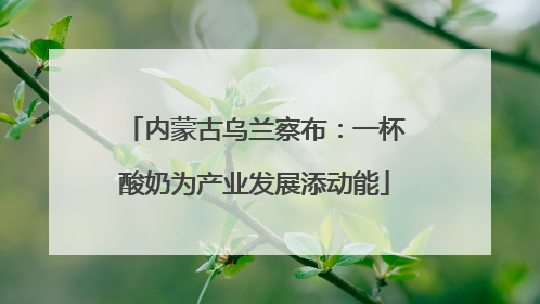 内蒙古乌兰察布：一杯酸奶为产业发展添动能