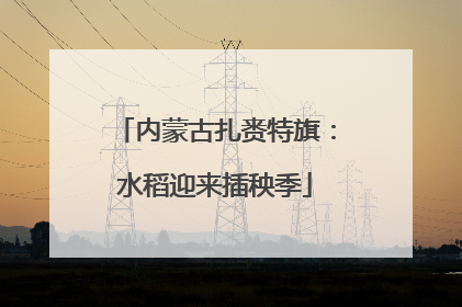 内蒙古扎赉特旗：水稻迎来插秧季
