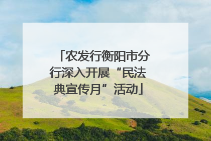 农发行衡阳市分行深入开展“民法典宣传月”活动