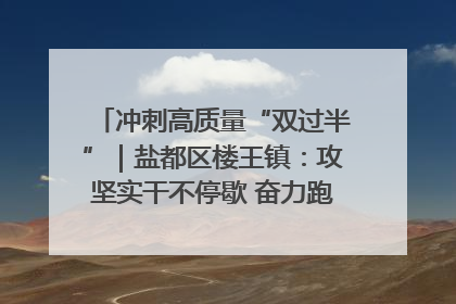 冲刺高质量“双过半”｜盐都区楼王镇：攻坚实干不停歇 奋力跑赢“上半场”