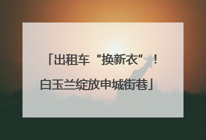 出租车“换新衣”！白玉兰绽放申城街巷