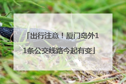 出行注意！厦门岛外11条公交线路今起有变