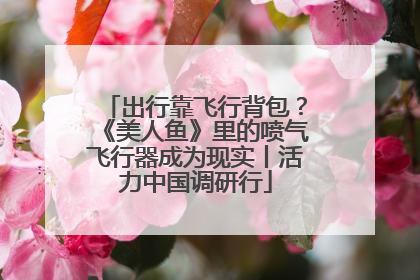 出行靠飞行背包？《美人鱼》里的喷气飞行器成为现实丨活力中国调研行