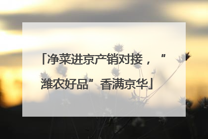 净菜进京产销对接，“潍农好品”香满京华
