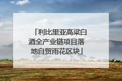 利比里亚高粱白酒全产业链项目落地自贸雨花区块