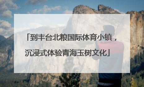 到丰台北粮国际体育小镇，沉浸式体验青海玉树文化