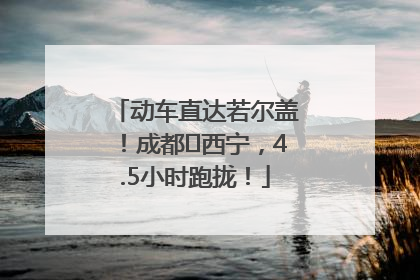 动车直达若尔盖！成都⇄西宁，4.5小时跑拢！