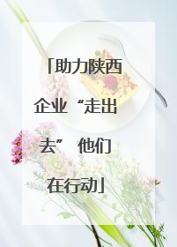助力陕西企业“走出去” 他们在行动