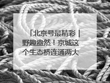 北京号最精彩｜野趣盎然！京城这个生态桥连通两大网红公园