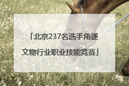 北京237名选手角逐文物行业职业技能竞赛