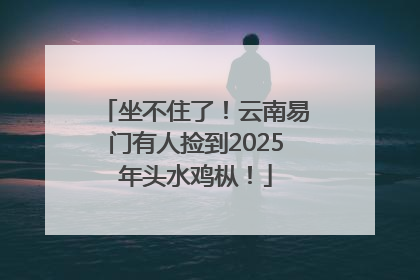 坐不住了！云南易门有人捡到2025年头水鸡枞！