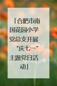合肥市南国花园小学党总支开展“庆七一”主题党日活动