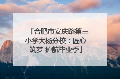 合肥市安庆路第三小学大杨分校：匠心筑梦 护航毕业季