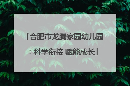 合肥市龙腾家园幼儿园：科学衔接 赋能成长