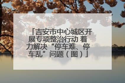 吉安市中心城区开展专项整治行动 着力解决“停车难、停车乱”问题（图）