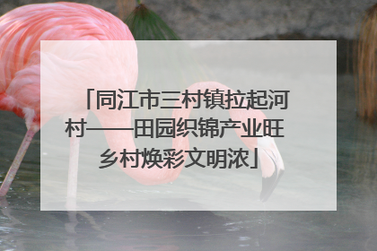同江市三村镇拉起河村——田园织锦产业旺 乡村焕彩文明浓