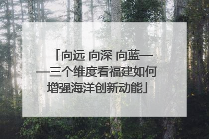 向远 向深 向蓝——三个维度看福建如何增强海洋创新动能