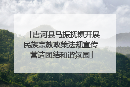 唐河县马振抚镇开展民族宗教政策法规宣传 营造团结和谐氛围