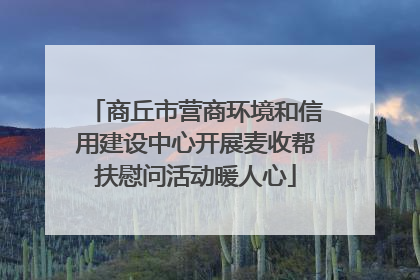 商丘市营商环境和信用建设中心开展麦收帮扶慰问活动暖人心