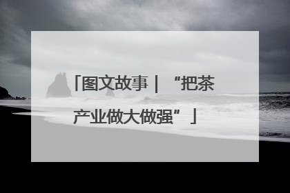 图文故事｜“把茶产业做大做强”