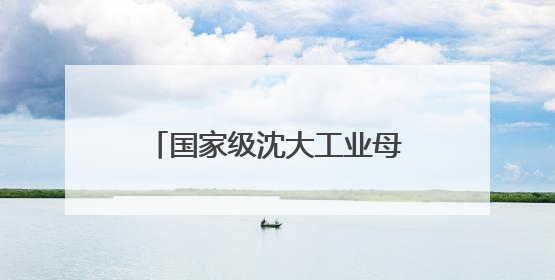 国家级沈大工业母机集群对接会举办