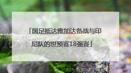 国足抵达雅加达备战与印尼队的世预赛18强赛