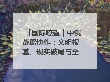 国际瞭望｜中俄战略协作：文明根基、现实破局与全球秩序重构