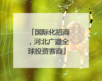 国际化招商，河北广邀全球投资客商