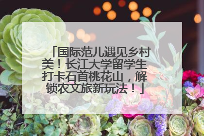 国际范儿遇见乡村美！长江大学留学生打卡石首桃花山，解锁农文旅新玩法！