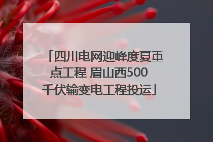 四川电网迎峰度夏重点工程 眉山西500千伏输变电工程投运