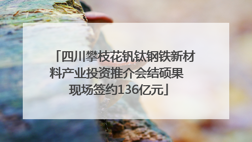 四川攀枝花钒钛钢铁新材料产业投资推介会结硕果 现场签约136亿元