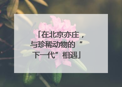 在北京亦庄，与珍稀动物的“下一代”相遇