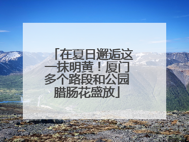 在夏日邂逅这一抹明黄！厦门多个路段和公园腊肠花盛放