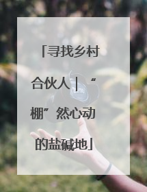寻找乡村合伙人｜“棚”然心动的盐碱地
