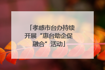孝感市台办持续开展“惠台助企促融合”活动