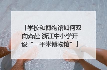 学校和博物馆如何双向奔赴 浙江中小学开设“一平米博物馆”