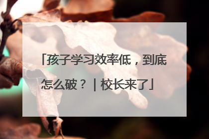 孩子学习效率低，到底怎么破？｜校长来了