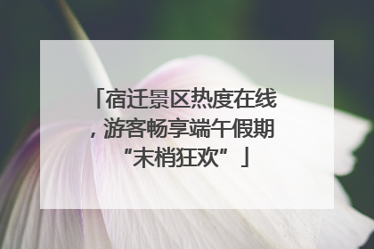 宿迁景区热度在线，游客畅享端午假期“末梢狂欢”