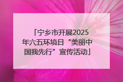 宁乡市开展2025年六五环境日“美丽中国我先行”宣传活动